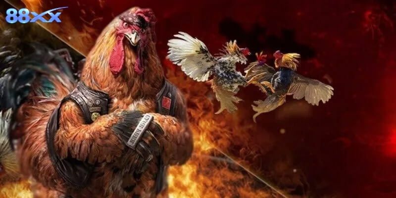 Bí Quyết Thắng Lớn Với Đá Gà Thomo Giải Đặc Biệt Tại 88XX Đá gà Thomo giải đặc biệt nổi bật bởi nhịp độ nhanh